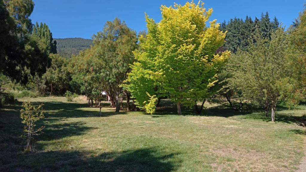 Rupu Pehuen Aparthotel San Carlos de Bariloche Exterior foto